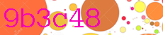 9b3c48